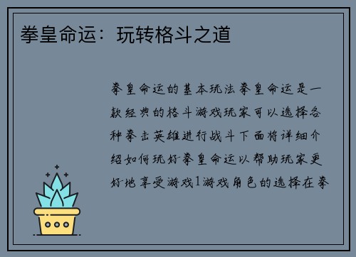 拳皇命运：玩转格斗之道